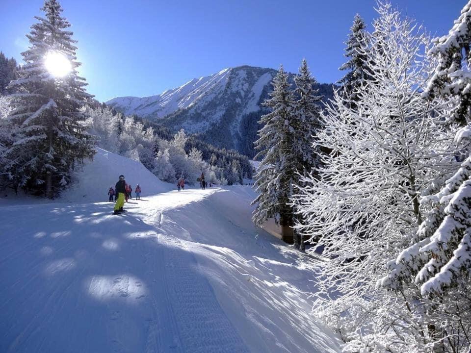 Apartament Le Grandcoeur Le Bourg-dʼOisans Zewnętrze zdjęcie